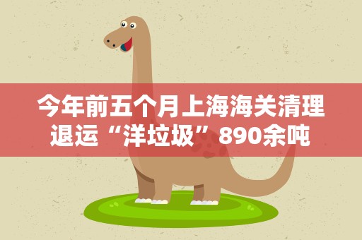 今年前五个月上海海关清理退运“洋垃圾”890余吨