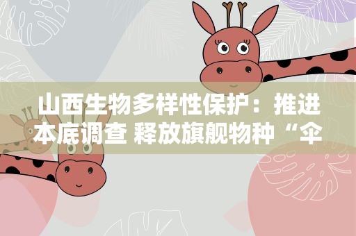 山西生物多样性保护：推进本底调查 释放旗舰物种“伞护效应”