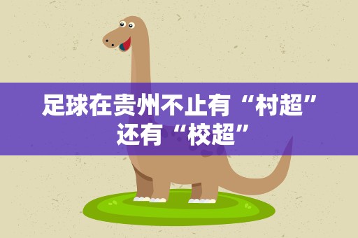 足球在贵州不止有“村超” 还有“校超”