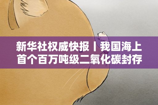 新华社权威快报丨我国海上首个百万吨级二氧化碳封存工程投用
