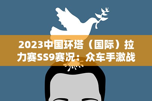 2023中国环塔（国际）拉力赛SS9赛况：众车手激战环塔最美赛段