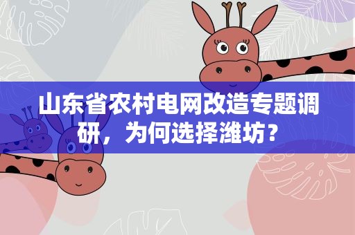 山东省农村电网改造专题调研，为何选择潍坊？