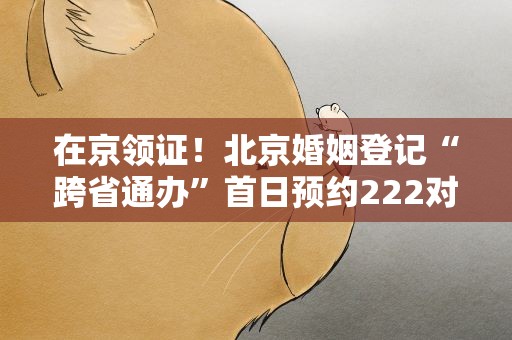 在京领证！北京婚姻登记“跨省通办”首日预约222对