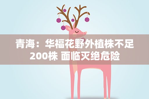 青海：华福花野外植株不足200株 面临灭绝危险