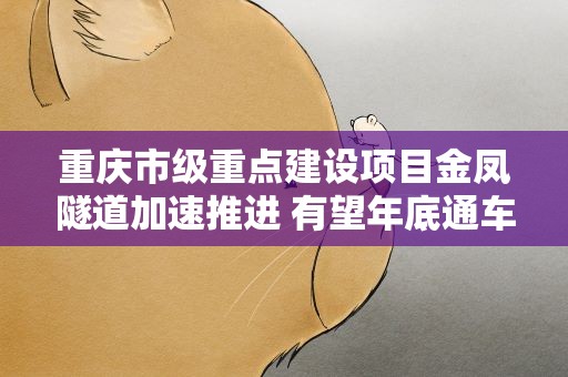 重庆市级重点建设项目金凤隧道加速推进 有望年底通车