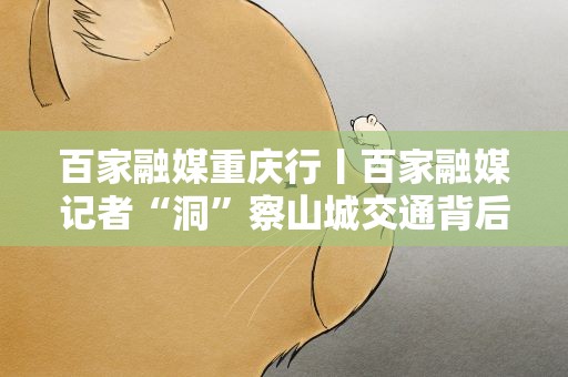 百家融媒重庆行丨百家融媒记者“洞”察山城交通背后的故事