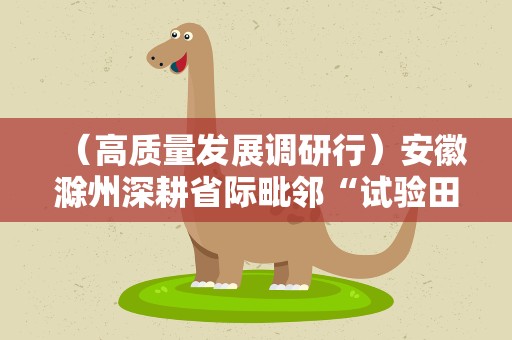 （高质量发展调研行）安徽滁州深耕省际毗邻“试验田” 跑出发展“加速度”