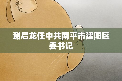 谢启龙任中共南平市建阳区委书记