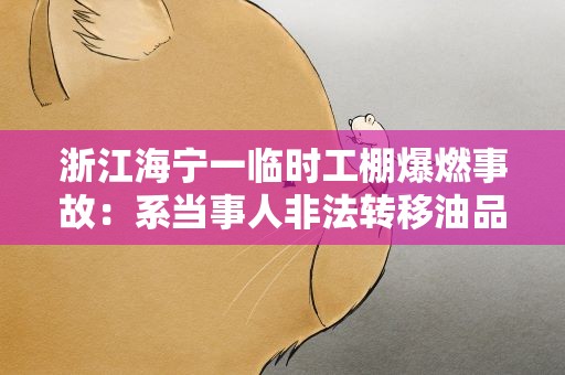 浙江海宁一临时工棚爆燃事故：系当事人非法转移油品引发