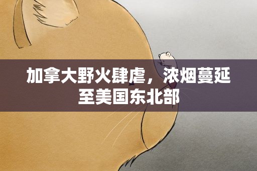 加拿大野火肆虐，浓烟蔓延至美国东北部
