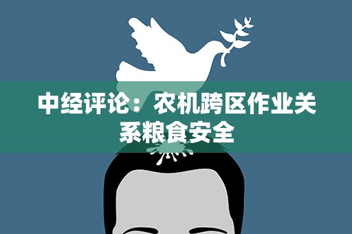 中经评论：农机跨区作业关系粮食安全
