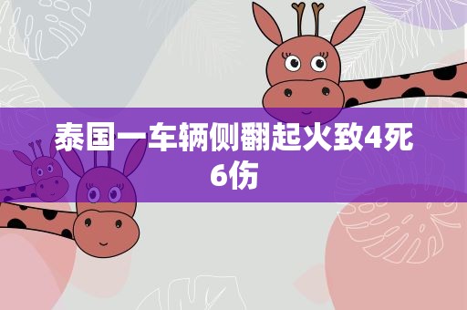 泰国一车辆侧翻起火致4死6伤