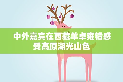 中外嘉宾在西藏羊卓雍错感受高原湖光山色