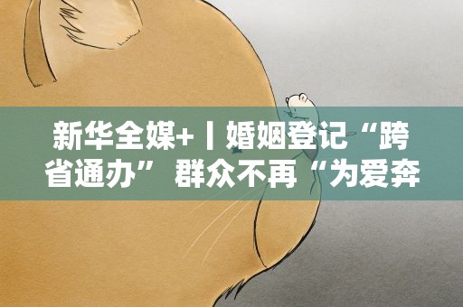 新华全媒+丨婚姻登记“跨省通办” 群众不再“为爱奔波”