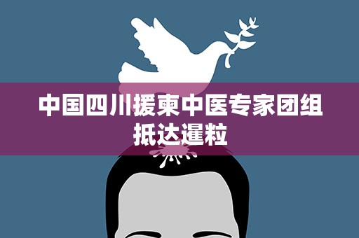 中国四川援柬中医专家团组抵达暹粒