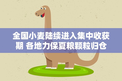全国小麦陆续进入集中收获期 各地力保夏粮颗粒归仓