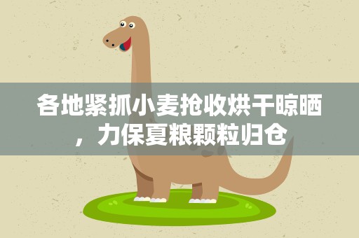 各地紧抓小麦抢收烘干晾晒，力保夏粮颗粒归仓