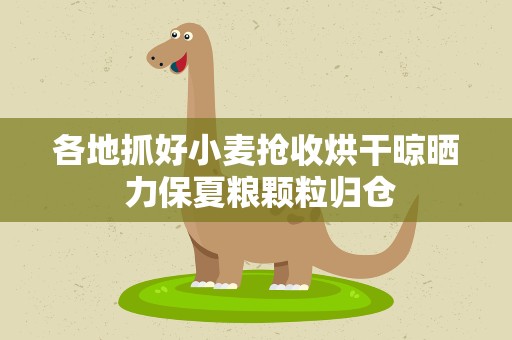 各地抓好小麦抢收烘干晾晒 力保夏粮颗粒归仓
