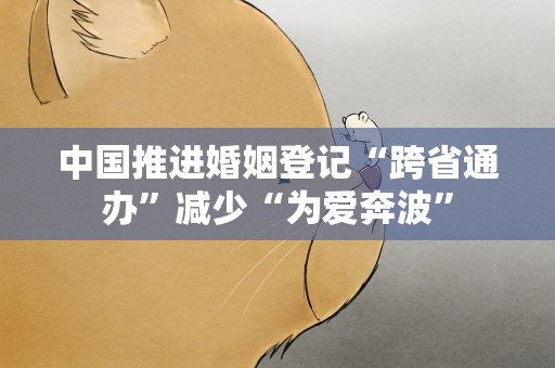 中国推进婚姻登记“跨省通办”减少“为爱奔波”