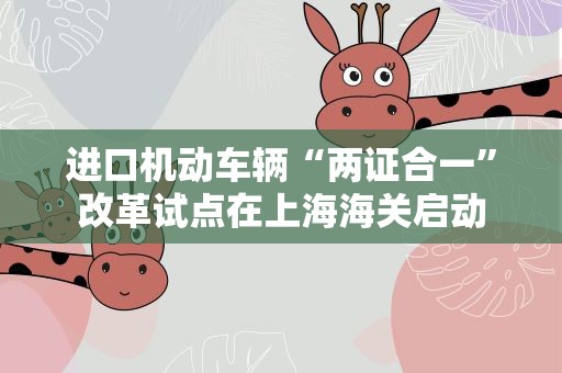 进口机动车辆“两证合一”改革试点在上海海关启动