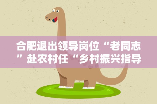 合肥退出领导岗位“老同志”赴农村任“乡村振兴指导员”