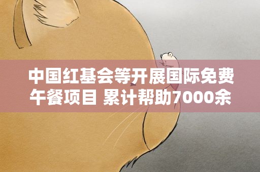 中国红基会等开展国际免费午餐项目 累计帮助7000余人