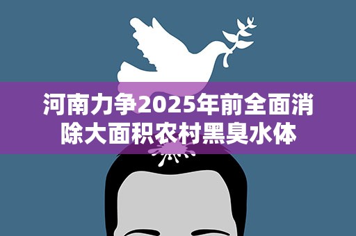 河南力争2025年前全面消除大面积农村黑臭水体