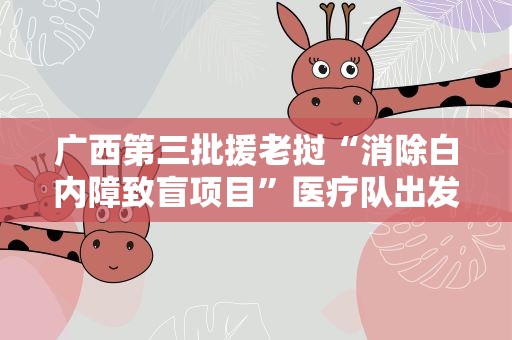 广西第三批援老挝“消除白内障致盲项目”医疗队出发