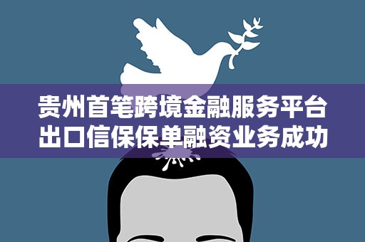 贵州首笔跨境金融服务平台出口信保保单融资业务成功落地黔南州