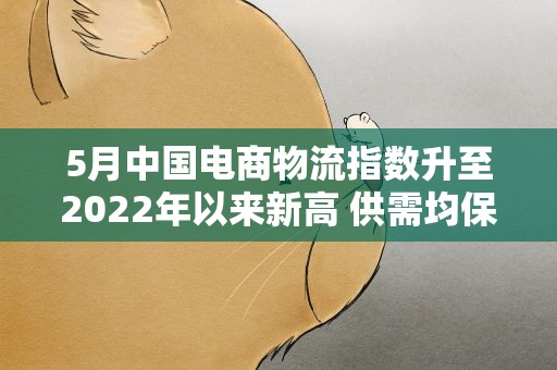 5月中国电商物流指数升至2022年以来新高 供需均保持稳定增长