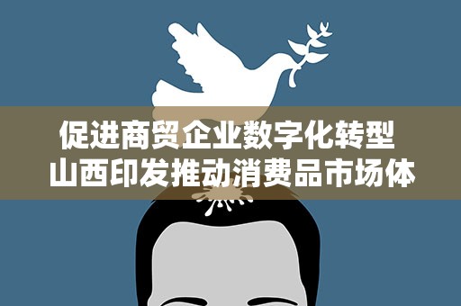 促进商贸企业数字化转型 山西印发推动消费品市场体系建设行动计划