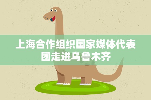 上海合作组织国家媒体代表团走进乌鲁木齐