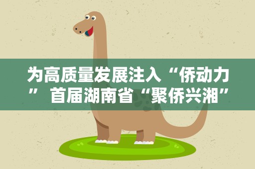 为高质量发展注入“侨动力” 首届湖南省“聚侨兴湘”活动举行