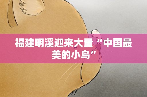 福建明溪迎来大量“中国最美的小鸟”