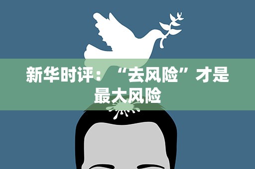 新华时评：“去风险”才是最大风险