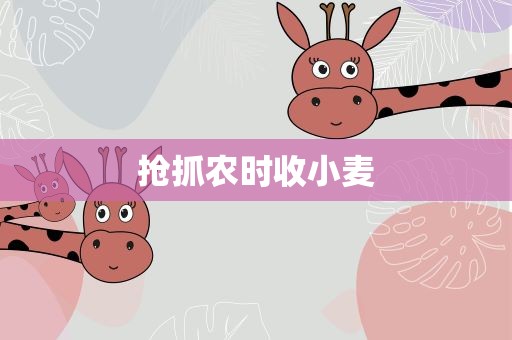 抢抓农时收小麦