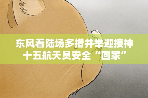 东风着陆场多措并举迎接神十五航天员安全“回家”
