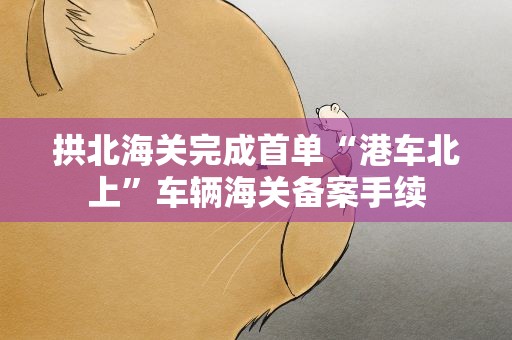 拱北海关完成首单“港车北上”车辆海关备案手续
