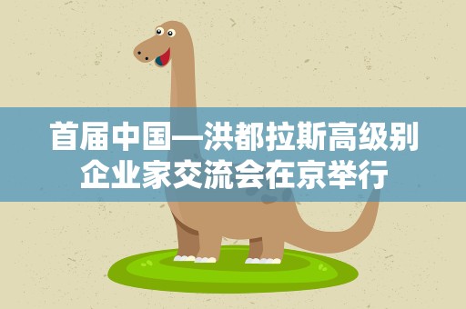 首届中国—洪都拉斯高级别企业家交流会在京举行