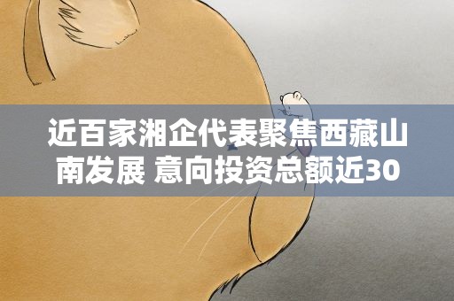 近百家湘企代表聚焦西藏山南发展 意向投资总额近30亿元