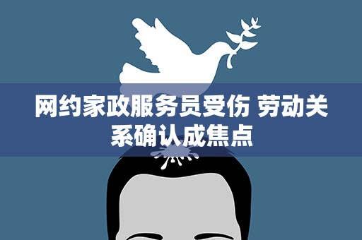 网约家政服务员受伤 劳动关系确认成焦点