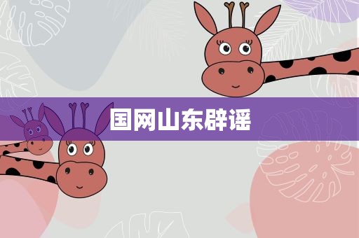 国网山东辟谣