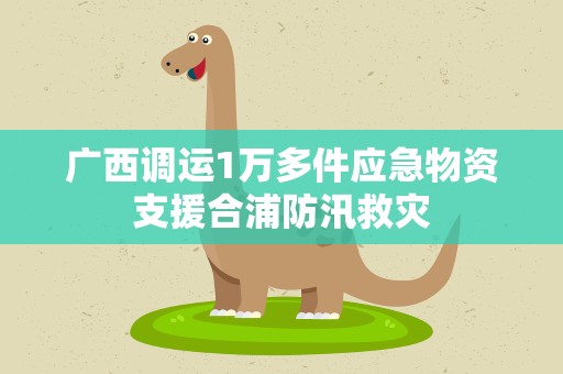 广西调运1万多件应急物资支援合浦防汛救灾