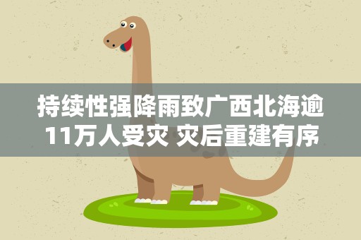 持续性强降雨致广西北海逾11万人受灾 灾后重建有序推进