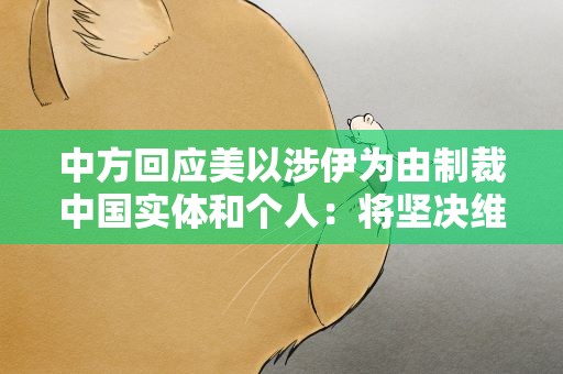 中方回应美以涉伊为由制裁中国实体和个人：将坚决维护合法权益