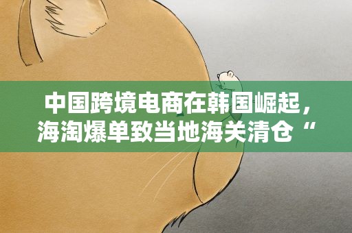 中国跨境电商在韩国崛起，海淘爆单致当地海关清仓“拥堵”