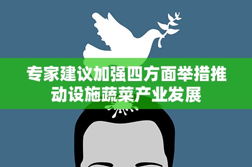 专家建议加强四方面举措推动设施蔬菜产业发展