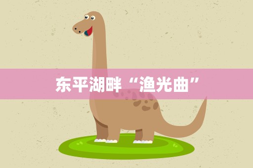 东平湖畔“渔光曲”