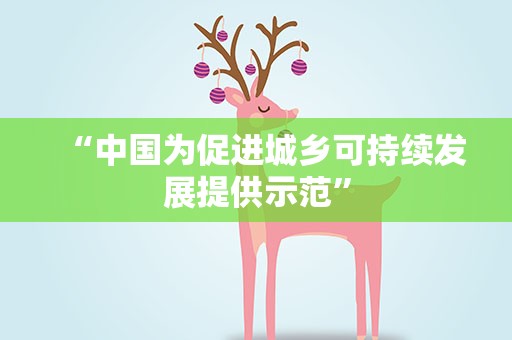 “中国为促进城乡可持续发展提供示范”