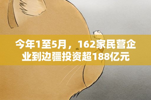 今年1至5月，162家民营企业到边疆投资超188亿元